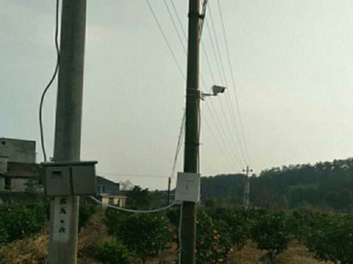 瀏陽多友園沃柑基地安裝無線高清視頻監控系統